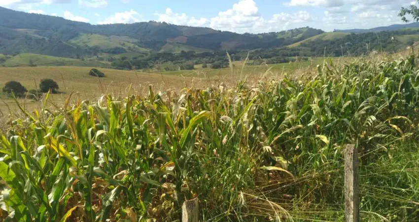 Fazenda à venda na Área rural, Zona Rural, Lambari