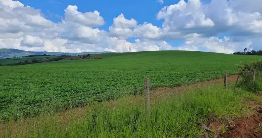 Oportunidade única no sul de minas: fazenda com 80% de aproveitamento para lavouras nobres!