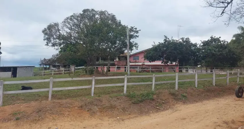 Fazenda de 37 alqueires_aptidão para pecuária, grãos, frutas e café_sul de minas