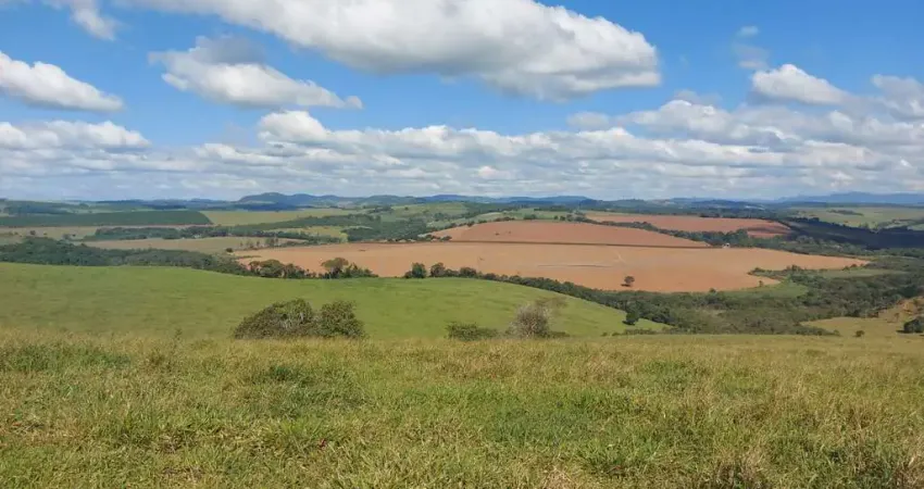 Fazenda de 34 alqueires (82 hectares), região de botelhos_planta café