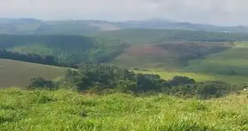 Fazenda _ 441 hectares_ mista_pecuária e agricultura_região de caxambu-mg