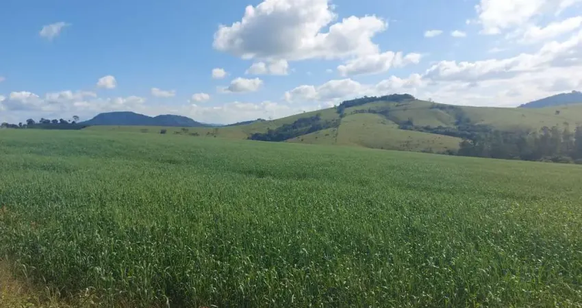 Sítio de 16 alqueires _ excelente aproveitamento para grãos em geral.