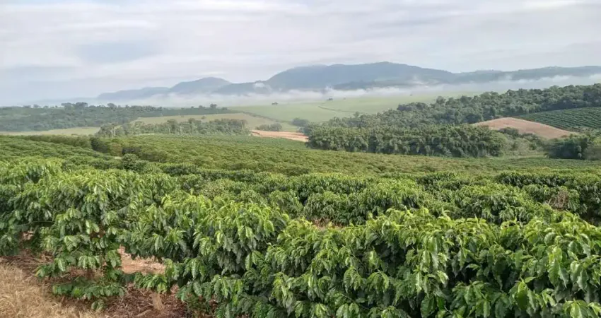 Fazenda à venda na Área Rural, Área Rural de Alfenas, Alfenas