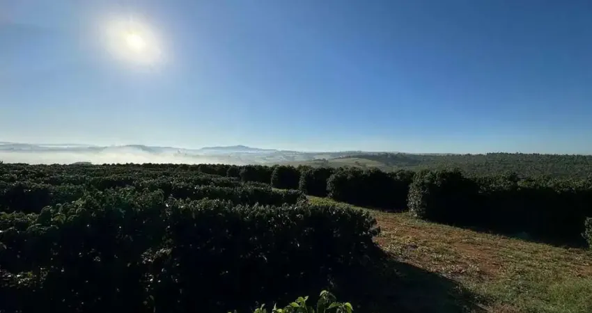 Fazenda 100% irrigada_ alta produtividade e infraestrutura completa _ café e citricultura _sul de minas