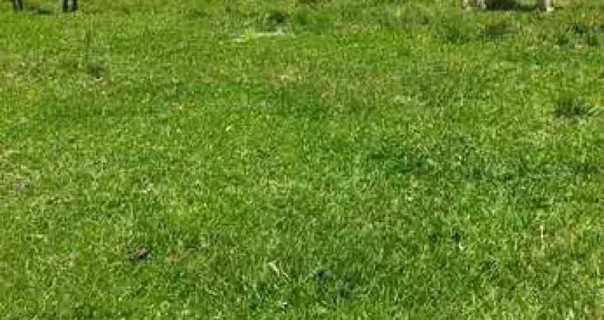 Fazenda de 30 alqueires (72,6 hectares) _ região de camanducaia _ sul de minas