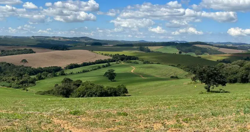 Fazenda de 338 hectares_dupla apetidão_ região de ipuiuna_sul de minas