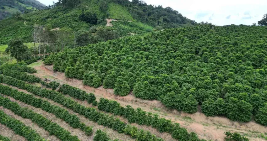 Fazenda de 66,2 hectares - propriedade é mista (café e pecuária).