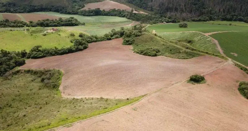 Fazenda de 45 alqueires, região de andradas, agricultura e pecuária.