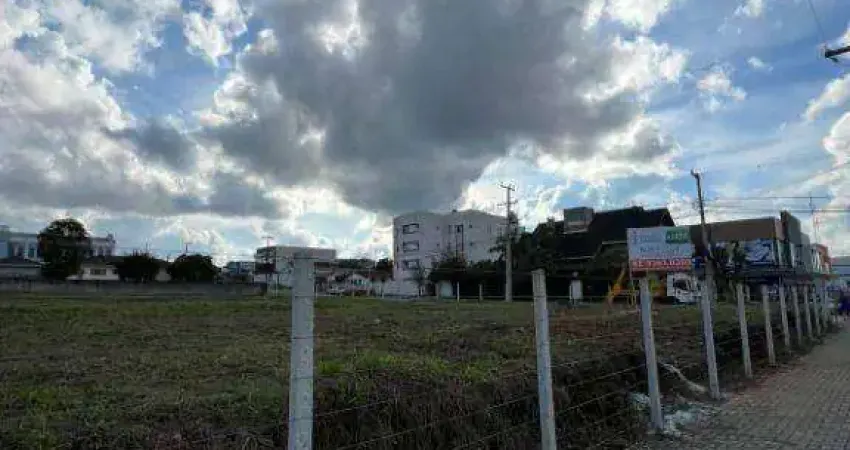Terreno para alugar, 2100 m² - Jardim Paulista - Campina Grande do Sul/PR
