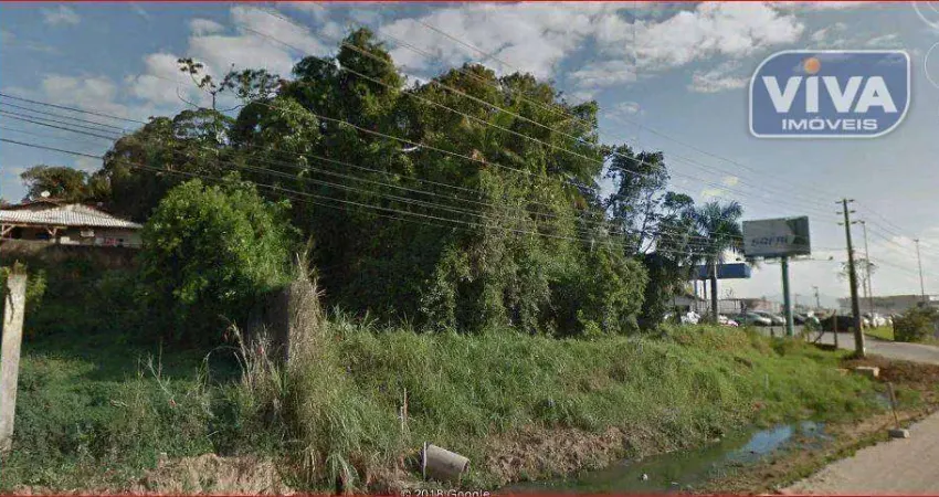 Terreno à venda, 83304 m² por R$ 7.000.000,00 - Quilômetro Doze - Itajaí/SC