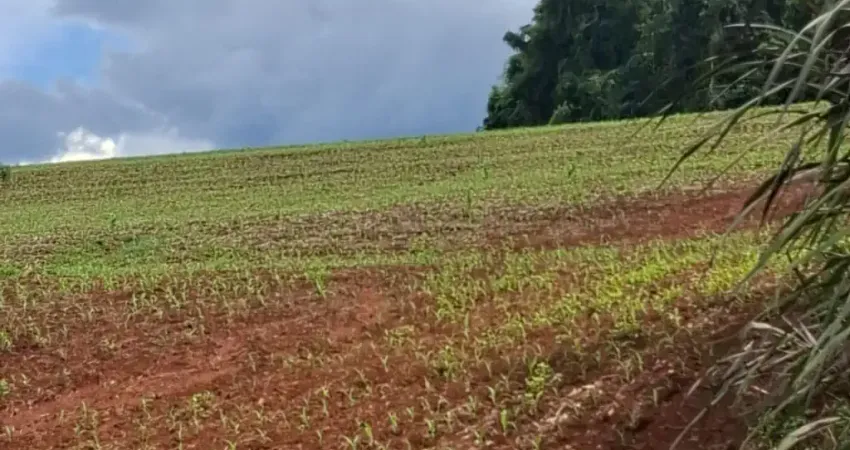 Chácara / sítio à venda na Rua Venâncio Aires, Zona Rural, São João
