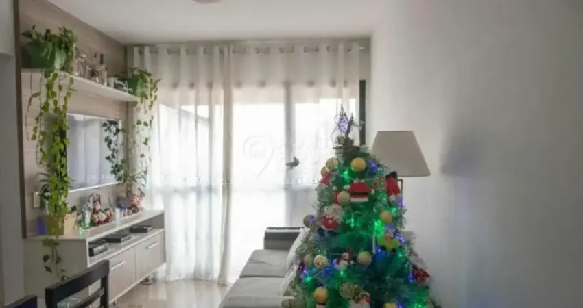 Apartamento à venda na vila mascote, 59m², 2 dormitórios e 2 vagas de garagem