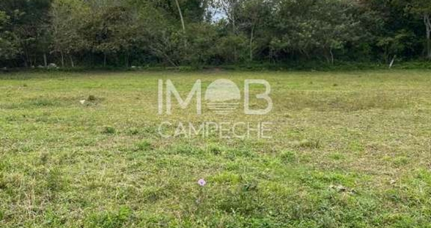 Terreno à venda na Rodovia Baldicero Filomeno, Ribeirão da Ilha, Florianópolis