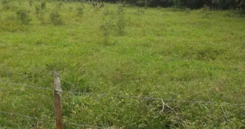 [vendo sítio em brazópolis] [7 hectares com córrego d'água]