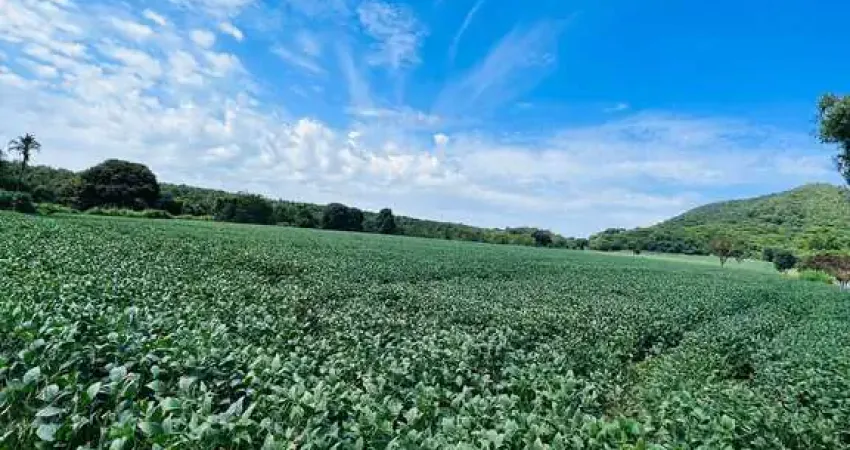 Fazenda jandaia Fazenda à Venda, 200 por R$ 2.350.000 AD10017