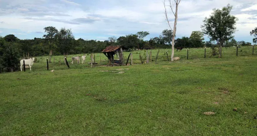 Fazenda município de Crixás  Fazenda à Venda, 900000 por R$ 2.050.000 VN17407