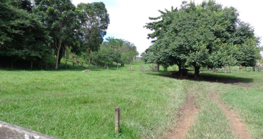 FAZENDA A VENDA À APENAS 18 km DE JANDÁIA Fazenda à Venda, 410966 por R$ 2.547.000 VN24835