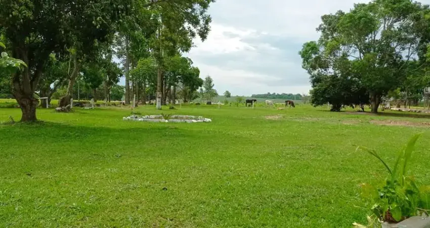UMA LINDA CHACAR NO NOVO GAMA  Chácara à Venda, 72260 por R$ 1.700.000 IN25110