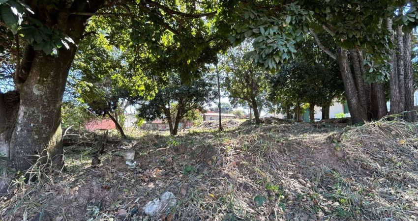Lote em Aparecida na Vila Maria  Área / Terreno à Venda, 539 por R$ 270.000 no setor Vila Maria IN25569