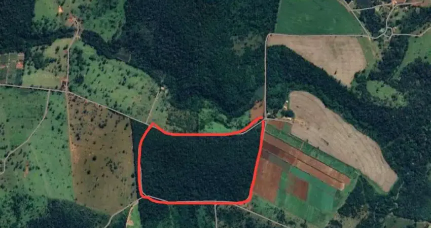 Oportunidade Rara: Terra de Cultura em Teresópolis-GO  9 alqueires (43,56 ha) de solo fértil, virgem e com mata preservada! Chácara à Venda, 43562.98 por R$ 2.655.000 AD30132
