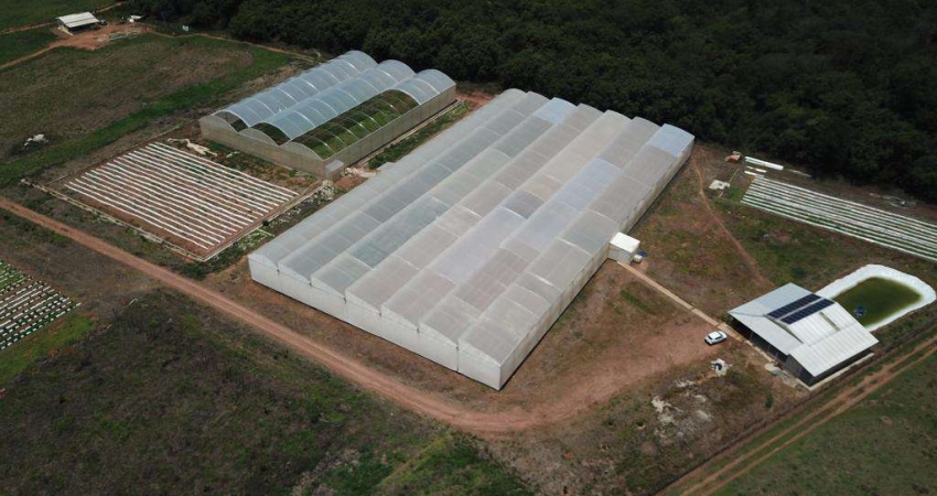 AREA RURAL - HIDROLANDIA-GO Área / Terreno à Venda, 50000 por R$ 890.000 no setor Zona Rural AD30951