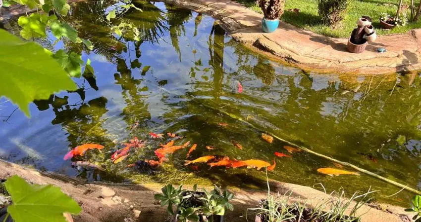 Chácara Alto Padrão Cond. Mansões Morumbi Senador Canedo Chácara à Venda, 212 por R$ 1.600.000 AU31393