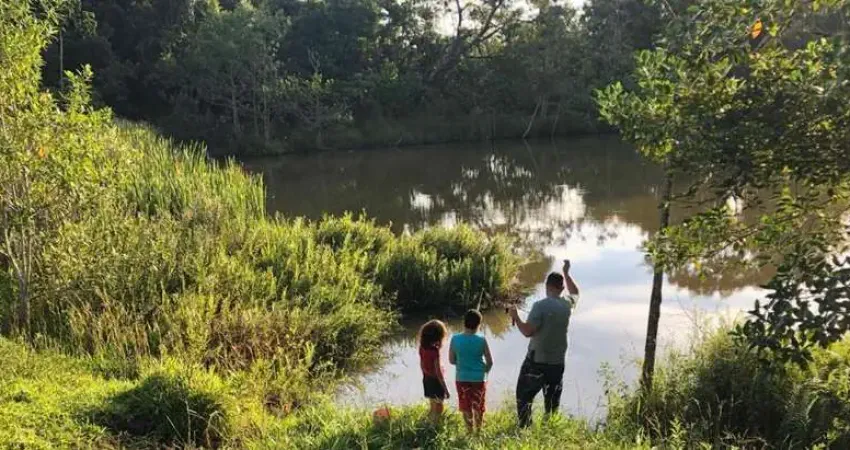 Chácara 2,5 alqueires em silvânia com lago e nascente chácara à venda, 150 por r$ 1.100.000 vt31767