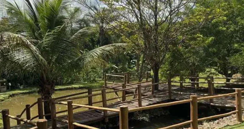 Linda chácara em trindade-go, com 2 casas mobiliadas. chácara à venda, 8000 por r$ 1.500.000 ta33814