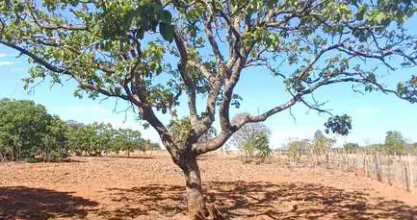 Chácara 6.000m² - sitio recreio savanah hidrolândia chácara à venda, 6000 por r$ 750.000 au34528