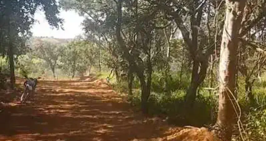 Chacara em bela vista 20.000,00 metros chácara à venda, 20000 por r$ 220.000 ad34966