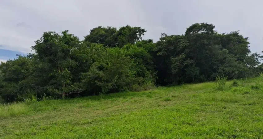 CHACARA VARJÃO DE GOIAS Chácara à Venda, 121000.00 por R$ 1400000.00 TA34888