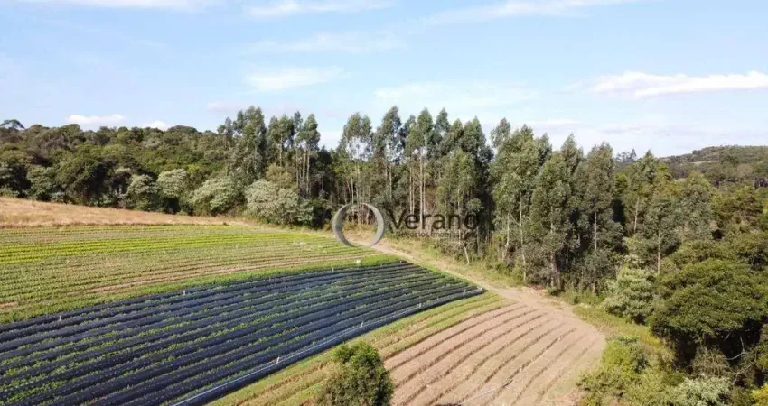 Sítio à venda, 212000 m² por R$ 500.000,00 - Sarapui de Cima - Piedade/SP