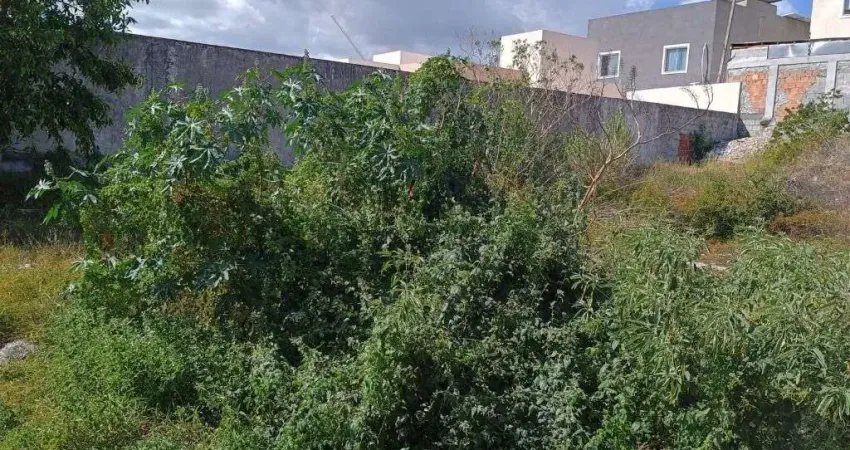 Terreno à venda, 250 m² por R$ 295.000,00 - Praia do Flamengo - Salvador/BA