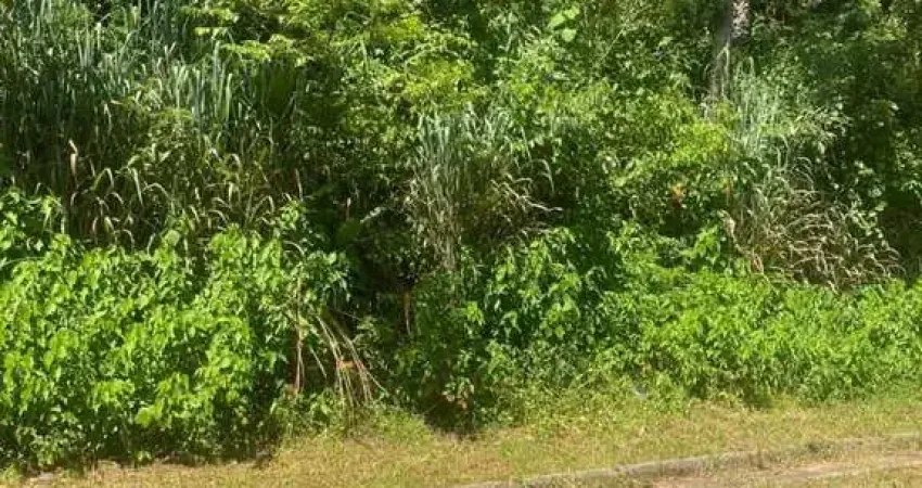 Terreno à venda, 550 m² por r$ 250.000 - condomínio sitio botoli- bairro penha- - arujá/sp