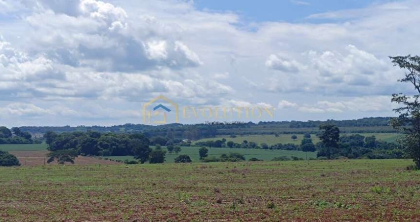 Fazenda à venda no Centro, Trindade 