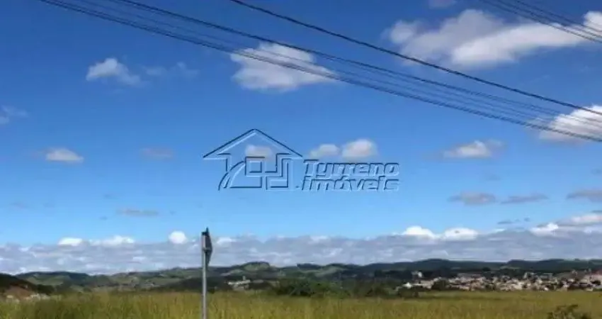 Terreno comercial no Residencial Floresta - São José dos Campos
