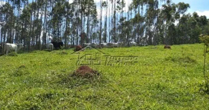 Chácara / sítio com 3 quartos à venda na Rua Barão de Jacareí, Cidade Nova Jacareí, Jacareí
