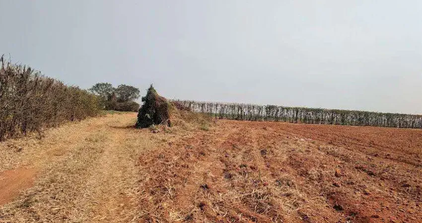 Chácara / sítio à venda na Rua Coronel Guedes, Área Rural de Mogi Mirim, Mogi Mirim
