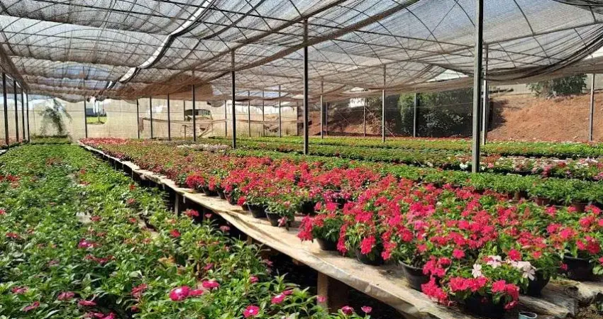 Sítio para Venda em Santo Antônio de Posse, Pirapitanqui