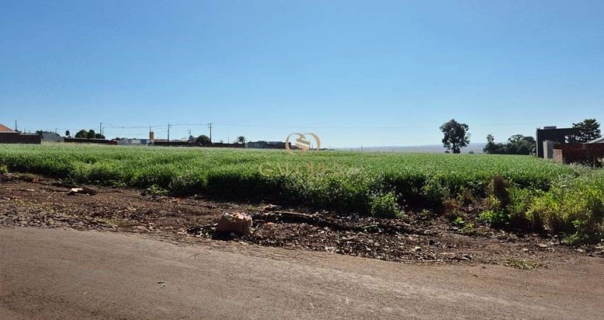 Venda de Lote Rural para Loteamento Residencial em Doutor Camargo-PR