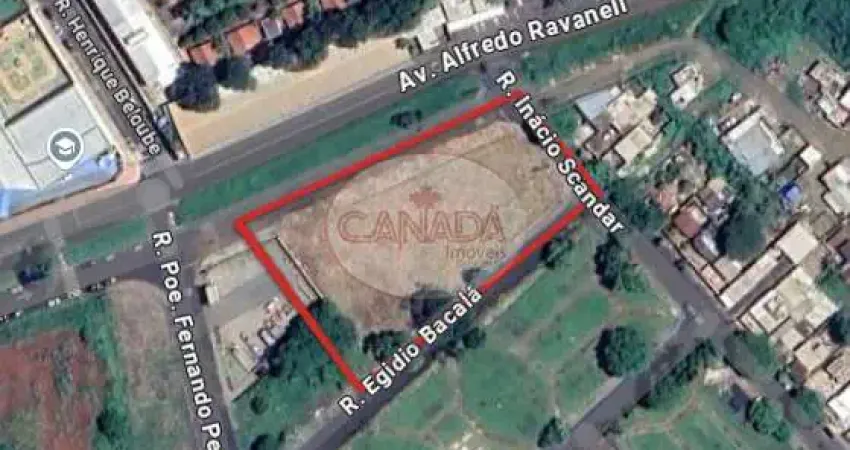Terreno à venda no Jardim das Palmeiras, Ribeirão Preto 