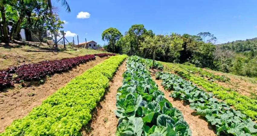 Chácara / sítio com 3 quartos à venda no Centro, Juquitiba 