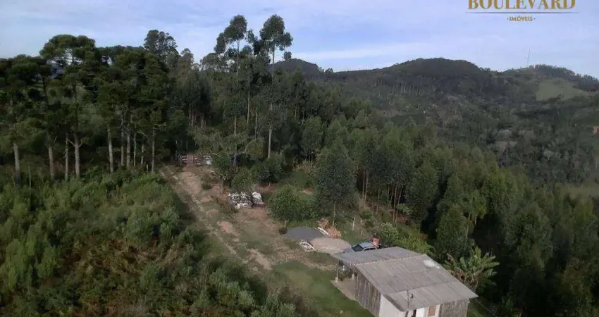 Chácara com 2 dormitórios à venda, 48400 m² por r$ 650.000 - cerro negro - campo magro/pr