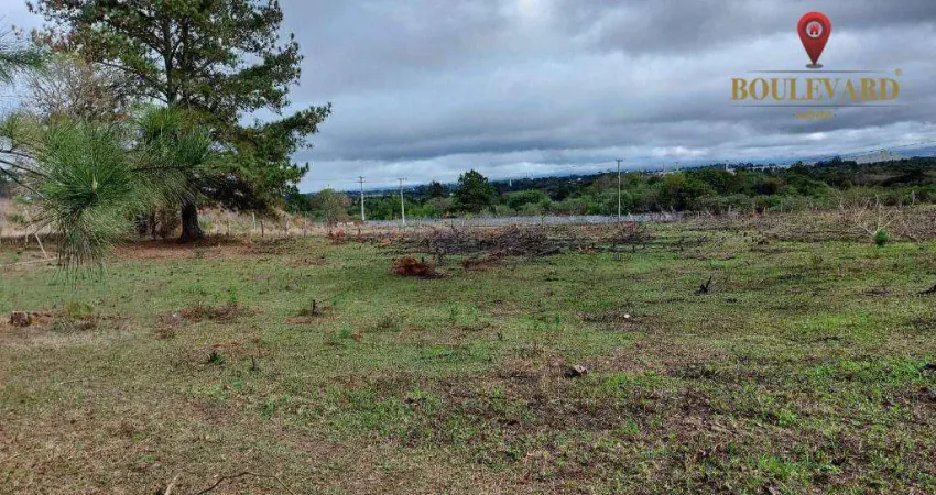 Terreno à venda, 12958 m² por r$ 1.300.000,00 - campo largo da roseira - são josé dos pinhais/pr