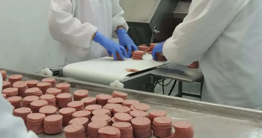 São João do Triunfo, Permuta por fazenda de soja - Frigorífico suíno, alto faturamento anual , prod