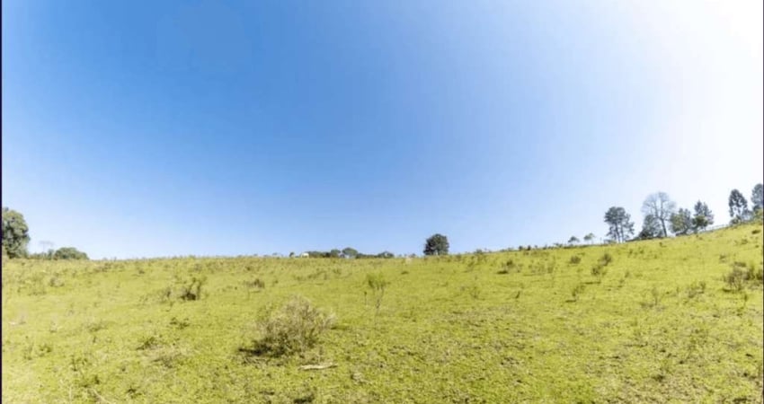 Campo Largo, Alphaville, área 74.721m², Própria pra loteamento, com estudo, à 12 km do Parque Barig