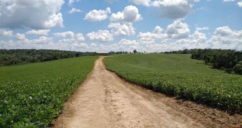 Lapa, Fazenda 42 alqueires ou 101,64 hectares,. Um talhão, Plantando 30 alqueires, à venda, Zona Ru