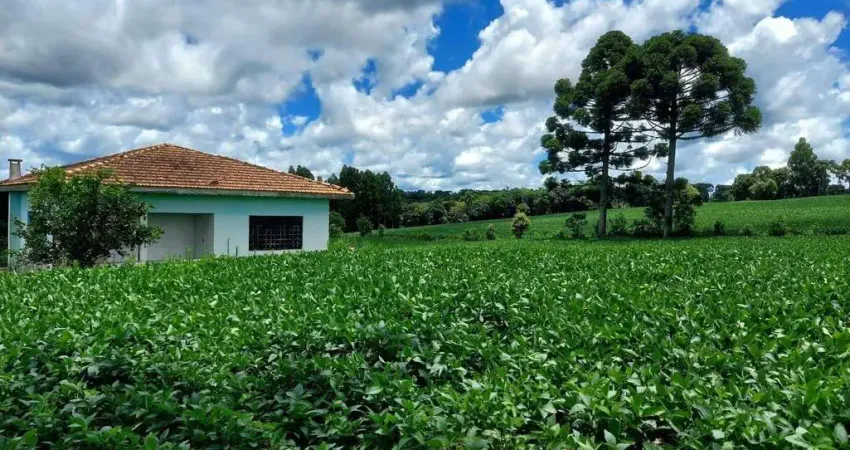 Lapa, 24 alqueires, 58 hectares ou. 580.800m², à 3 Km do asfalto, cercada, casa sede, galpão , plan