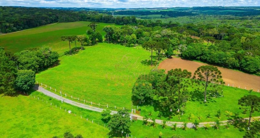 Lapa, Fazendinha ou Haras, 8 alqueires ou 19,36 hectares, casa sede, piscina, mina, à venda, Água A