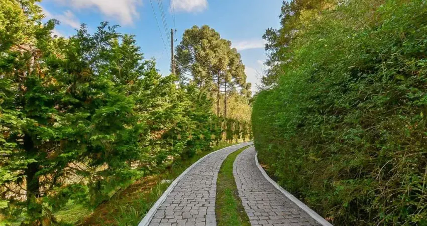 Campo Largo, Chácara de luxo 145.000m², à 2km do Fórum, à venda, Jardim Florestal, PR